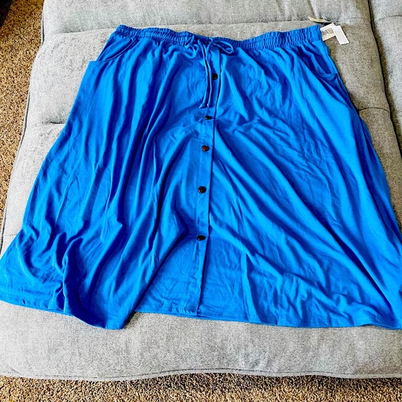 Blue Skirt with Tags